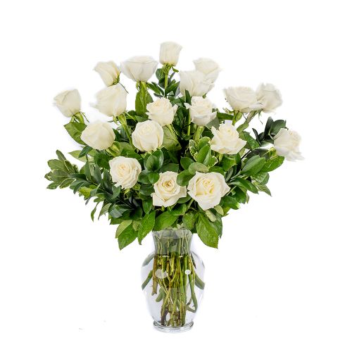 18 White Roses 