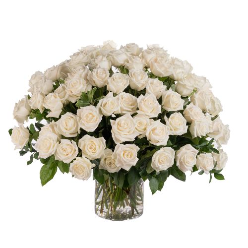 75 White Roses 