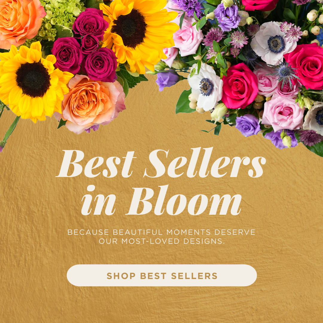 Best Sellers